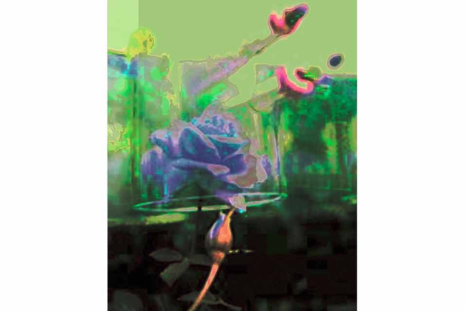 Jane Fire, The First Rose Grown in Outer Space (V5), 2017,
archival inks printed on canvas, 47 x 38 ins.
